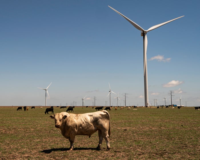 ‘Why take those jobs away?’: the unionized workers decrying Trump’s war on wind