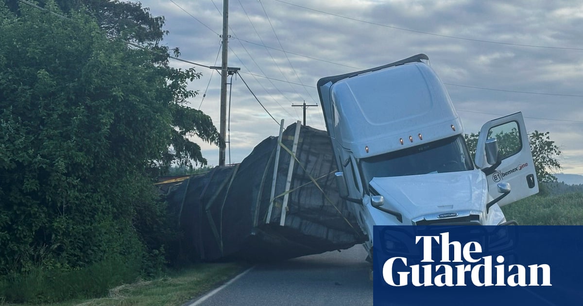 Bee-ware: truck carrying 250m honeybees overturns by US-Canada border