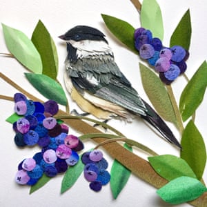 Blueberry Chickadee bird paper artwork by Sarah Suplina