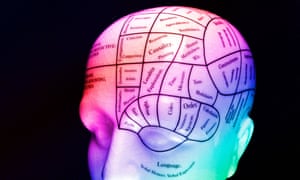 Phrenology HeadAW436M Phrenology Head