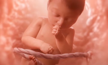 animation of a baby in a womb