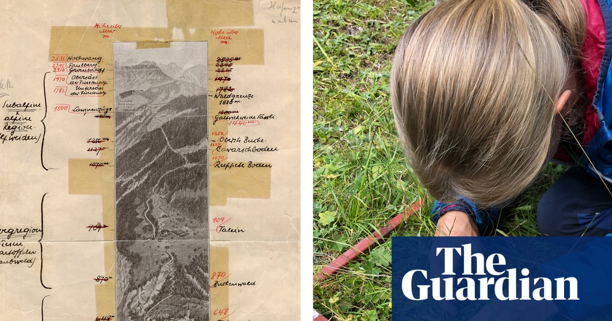 Century-old papers saved from the bin reveal changes in Europe's plant life
