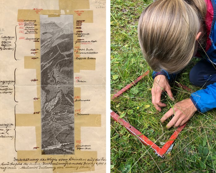 Century-old papers saved from the bin reveal changes in Europe’s plant life