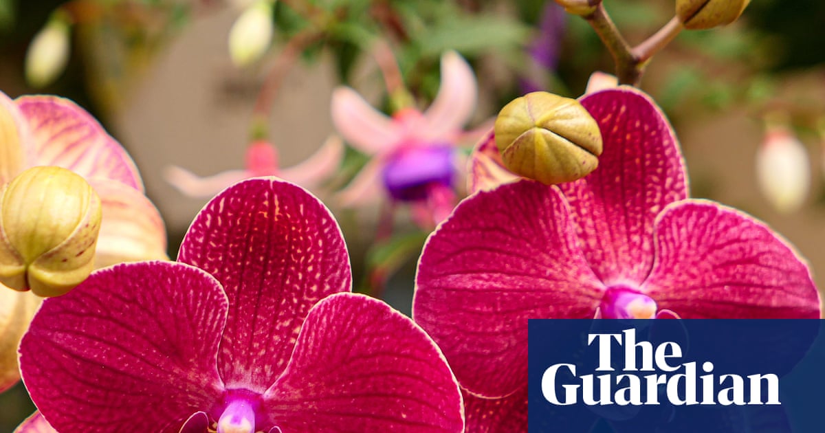 Sex garden to ‘break taboos’ at Chelsea flower show as gnome ban ends