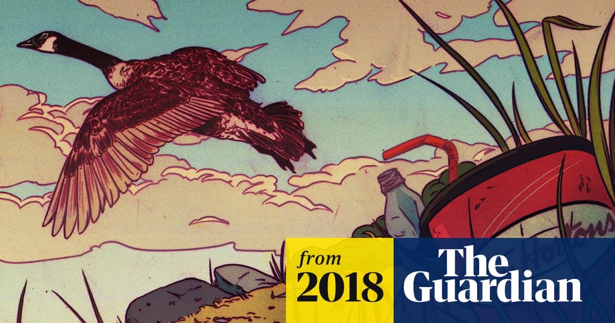 www.theguardian.com