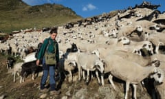 Shepherd Amanda Guzman Mejias with three dogs and 400 sheep and goats