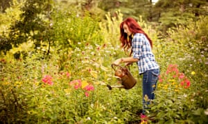 Gardener watering plants in backyard