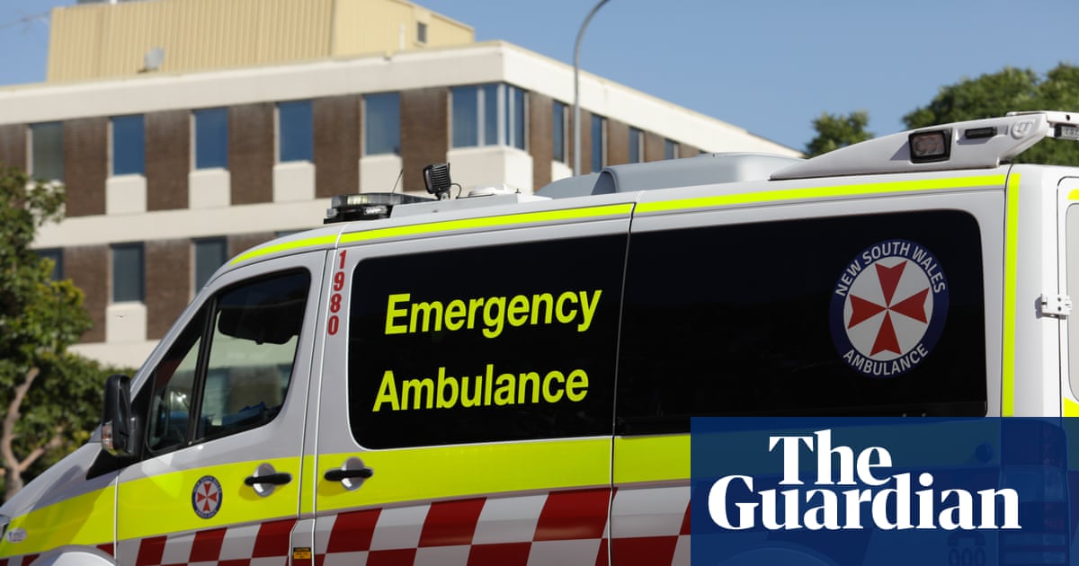 Man in critical condition after third Sydney shark attack in two days