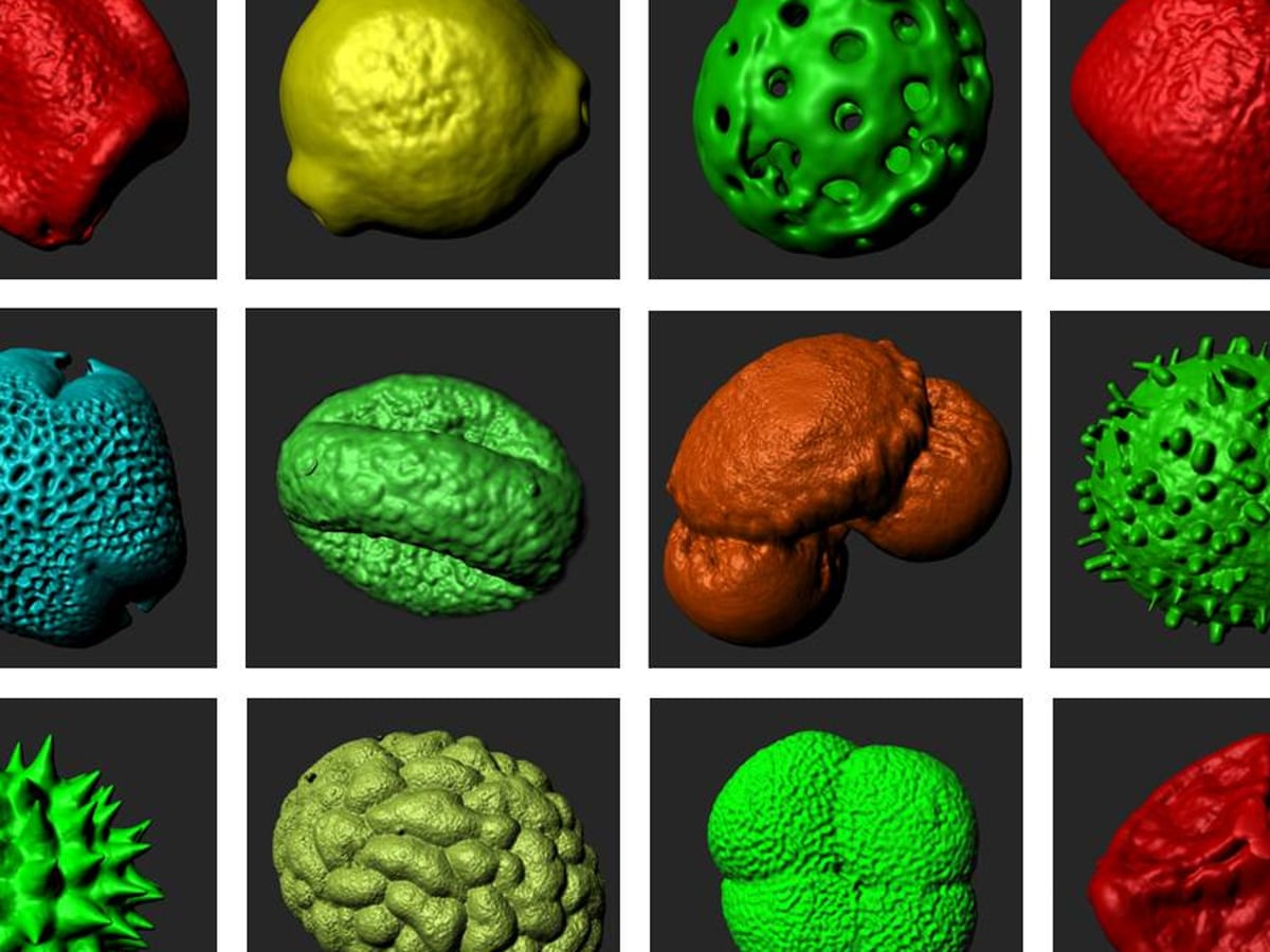 Not To Be Sneezed At How 3d Printing Is Supersizing The Tiny World Of Pollen Plants The Guardian Not To Be Sneezed At How 3d Printing Is Supersizing The Tiny World Of Pollen Plants The Guardian