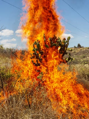 Burning Bush, Oaxaca de Juárez, 2018For this series, Hugo has drawn on Mexican history, as well as cultural, art historical and literary references, such as the mural From the Dictatorship of Porfirio Diaz to the Revolution (1957-66) by Communist artist David Alfaro Siqueiros. While referencing Mexico’s rich visual culture, Hugo’s work attempts to investigate how ritual, tradition and community inspire the complex reconciliation between the extremes of life and death.