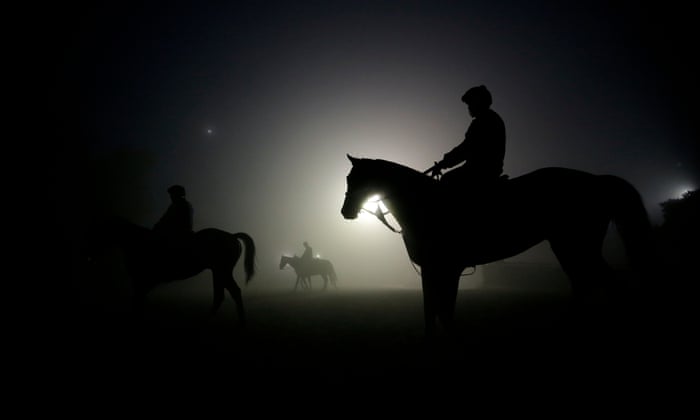 Depois de 15 anos no hipódromo, não consigo mais assistir a uma corrida de cavalos