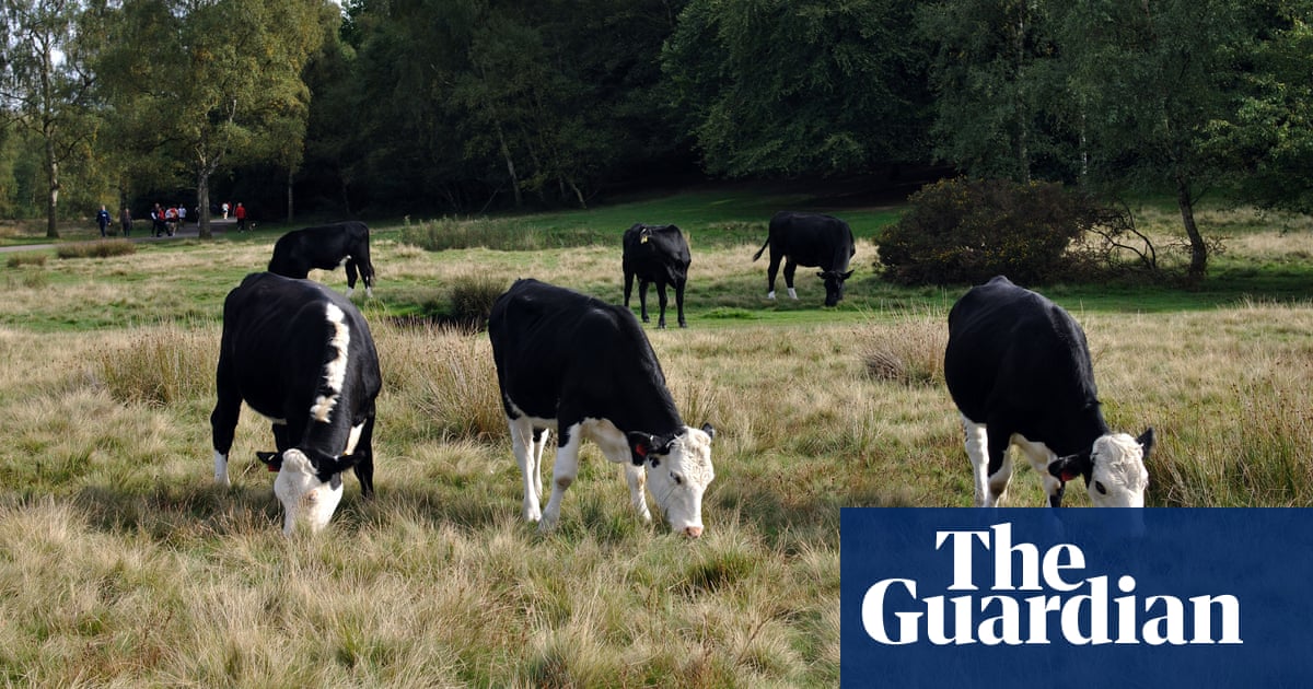 Farmers fear Defra will not deliver on post-Brexit support, says CLA head