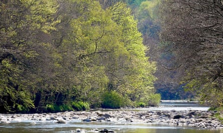 The River Wear at Black Banks in Weardale.