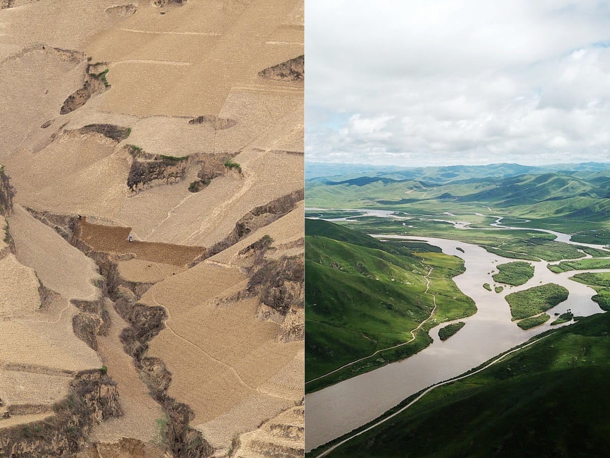 Our Biggest Challenge Lack Of Imagination The Scientists Turning The Desert Green Environment The Guardian Our Biggest Challenge Lack Of Imagination The Scientists Turning The Desert Green Environment The Guardian
