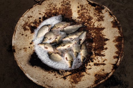 A rusty metal bowl with a dozen small fish lying in it