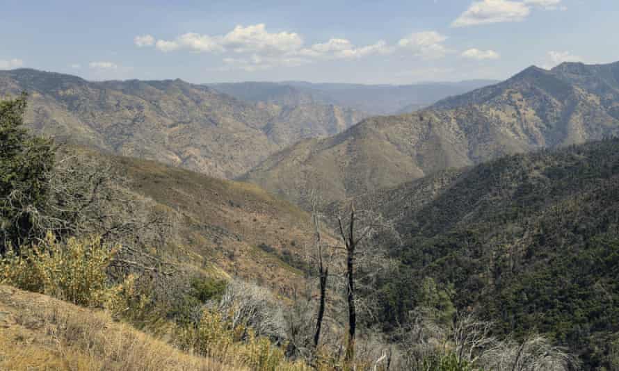 The remote canyon area north-east of the town of Mariposa where a family and their dog were found dead.