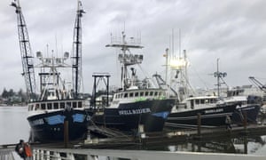 Trawlers that fish for groundfish off the Oregon and Washington coast are shown in the background as a fisherman walks up a ramp from the docks in Warrenton, Oregon.