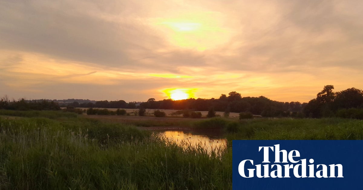 Country diary: Rumours of glowworms set me off on a twilight stroll | Anita Roy