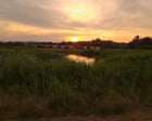 Glowworm Rumors Spark Twilight Stroll in Somerset