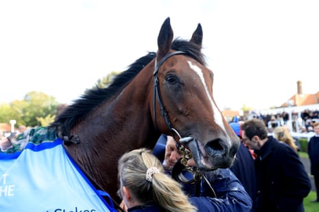 Το Darkness Falls μετά τη νίκη στο Dewhurst Stakes.