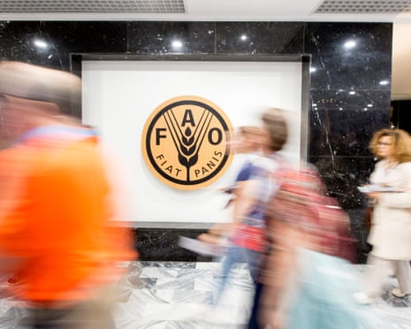 Food and Agriculture Organization logo on board with blurred people moving in front of it