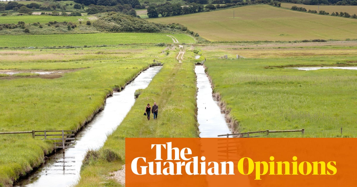 Britain’s wetlands are the key to saving us from drought, wildfires and even floods