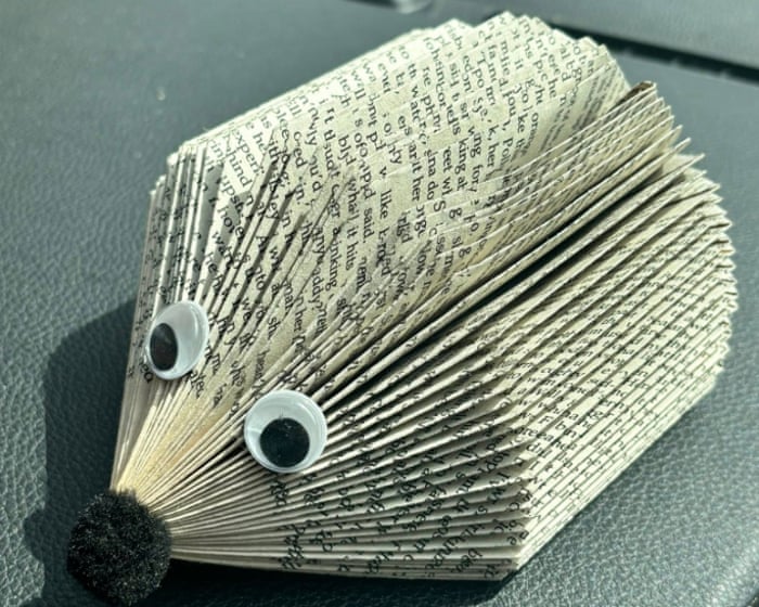 Parents shocked after children’s paper hedgehogs found to contain pages from explicit novel