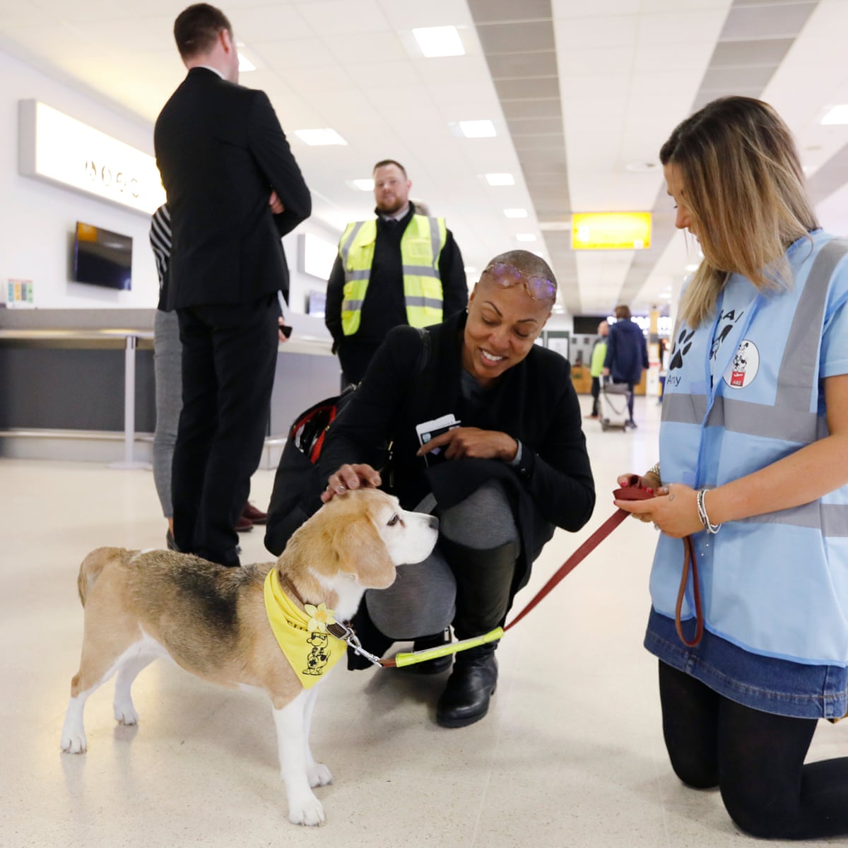 Therapy Dogs Bound Into Aberdeen Airport To Alleviate Stress