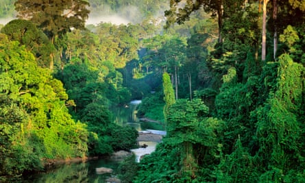 River in Lowland Rainforest of Danum Valley
Sabah State, Borneo, Malaysia --- River in the Lowland rainforest of the Danum Valley on Borneo, Sabah State, Malaysia. --- Image by Frans Lanting/Corbis