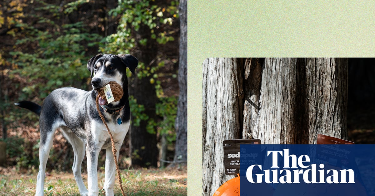 My toy-destroying dog tested these eco-friendly toys. These eight survived and make great gifts