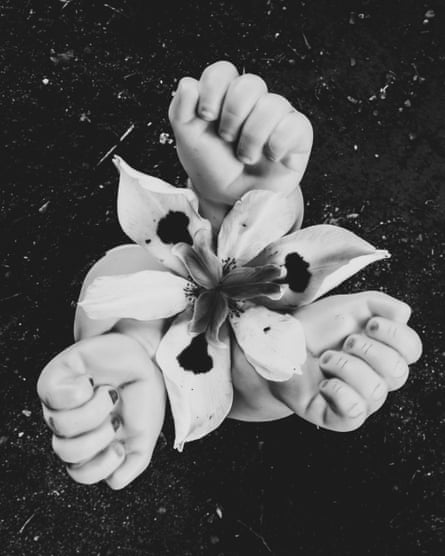 Black and white aerial view of a flower with hands surrounding the petals