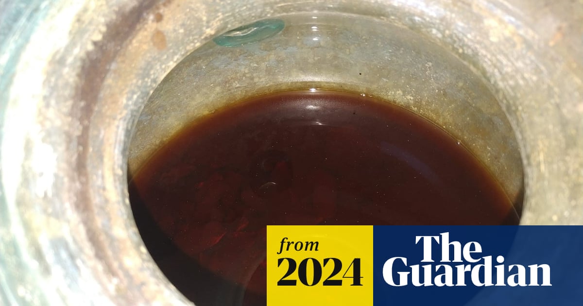 www.theguardian.com