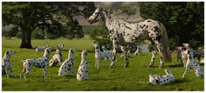 Ripley  - Leopard Spotted Horse with Dalmations in a Landscape