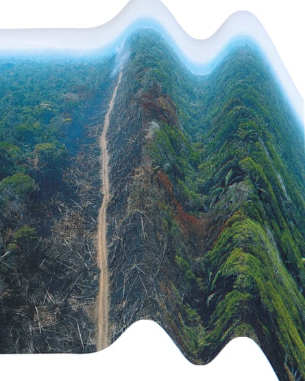 A graphic showing a distorted aerial image of destruction of the Amazon rainforest