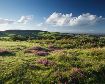 View of the Quantocks from Cothelstone Hill in Somerset.