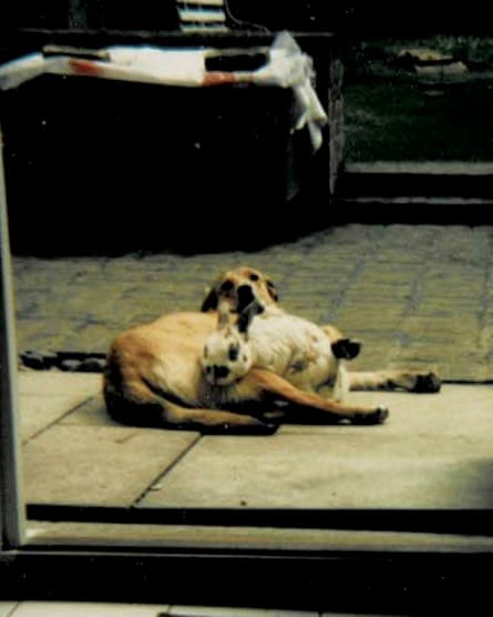 احتضن تيتان ورايلي بعضهما البعض في الفناء، ونظرا نحو الكاميرا