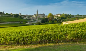Vineyards in St Emilion, Bordeaux, France