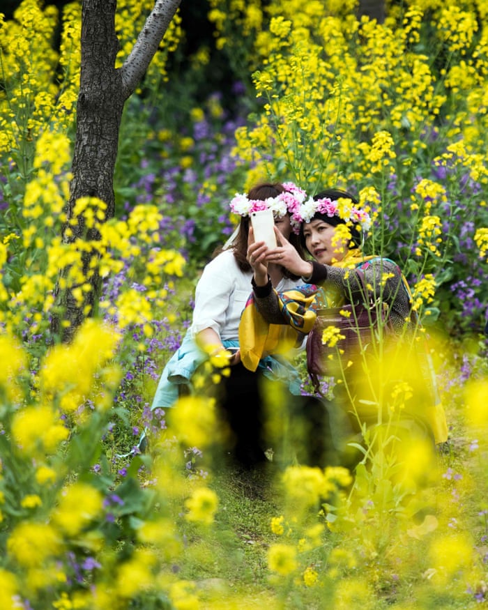 Shanghai,ChinaPeople take selfies amongst flowers in Gucun park
