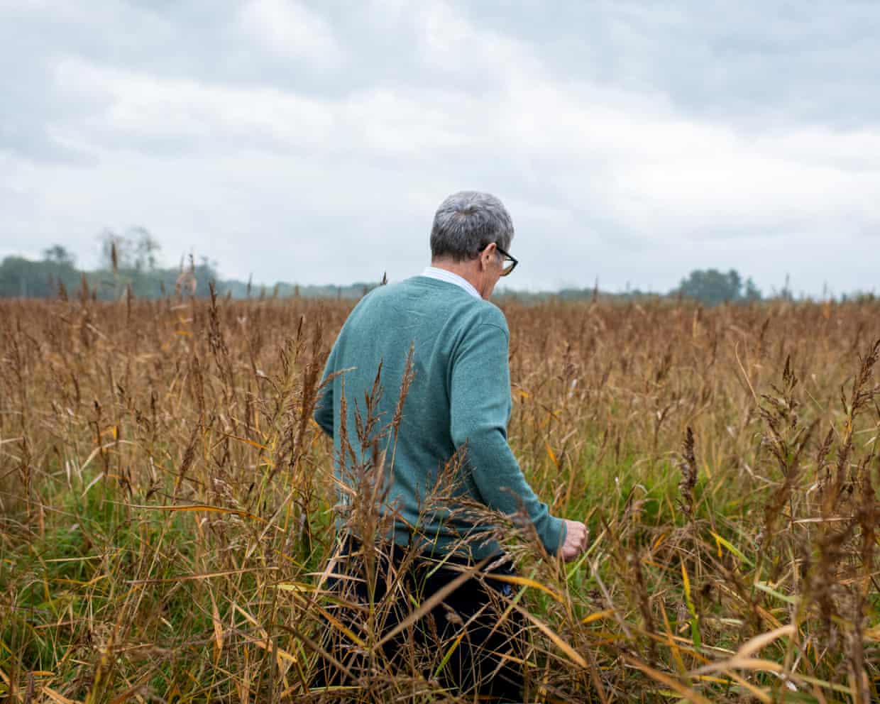 The solution: buffer strips