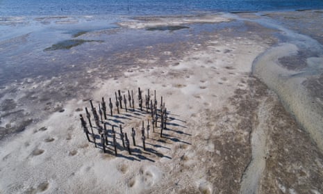 Aerial view of an art installation made up of a circle of oyster shells on poles planted on the shoreline