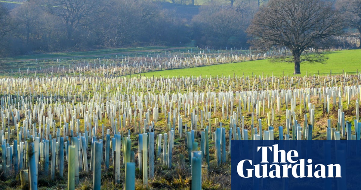 London councils yet to spend 130m in local climate funds