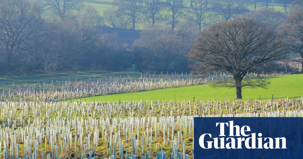 England plans 500,000 trees and nature recovery funding