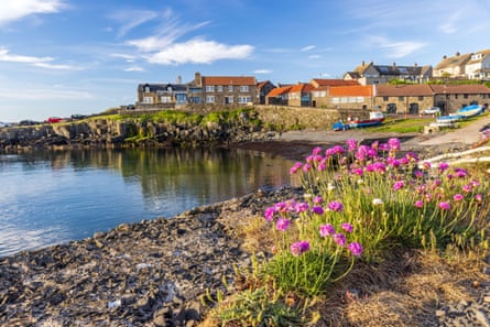 A fishing village behind a small harbour with pink flowers in the foreground.