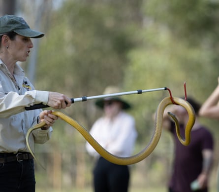 Woman with pole and long yellowish snake