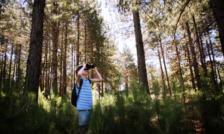 A child in woodland looking through binoculars