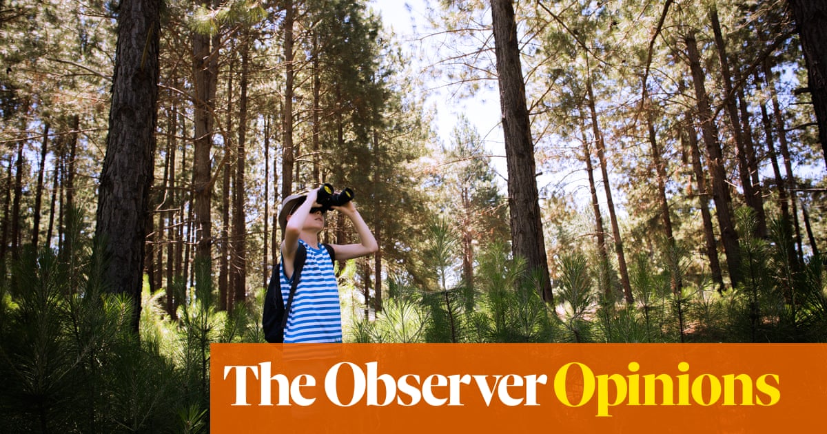 Are we tethering our kids too tightly, or should we let them roam? | Family Are we tethering our kids too tightly, or should we let them roam? | Family