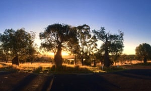 Queensland will use upgraded satellite surveillance to watch over native woodlands and ensure they are not cleared.