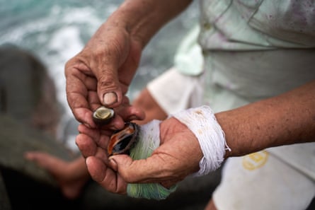 A man holds snails in his hands above the sea