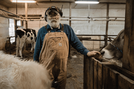Um homem de macacão bege fecha os olhos em um celeiro com suas vacas.