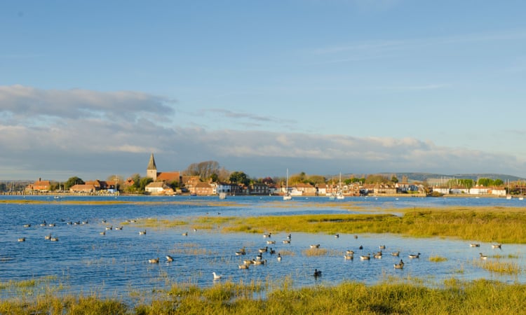 Country diary: The brent geese arrive like fighter pilots – wary of danger Dark-bellied brent geese in Chichester harbour.Photograph: Ian West/Alamy
